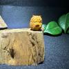Indian Sandalwood Dragon Charm Beads: DIY Cultural Style Buddhist Bracelet Pendant