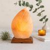 Himalayan Salt Lamp Fern Design