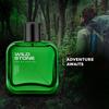 Wild Stone Духи для мужчин премиум-класса Forest Spice, 50 мл | Парфюмированная вода|Стойкий ароматный спрей для мужчин|Роскошная парфюмированная вода