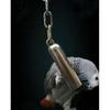 Stainless steel parrot toy with bell sound