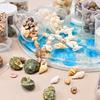 1 Set DIY Accessories Miniature Landscaping Natural Shells Ocean Style Natural Conch DIY Jewelry Materials Various