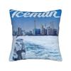 Decorative Pillow Covers Drake Iceman Album  Merch Seat  Pillow Case Cover Zipper Multi Size