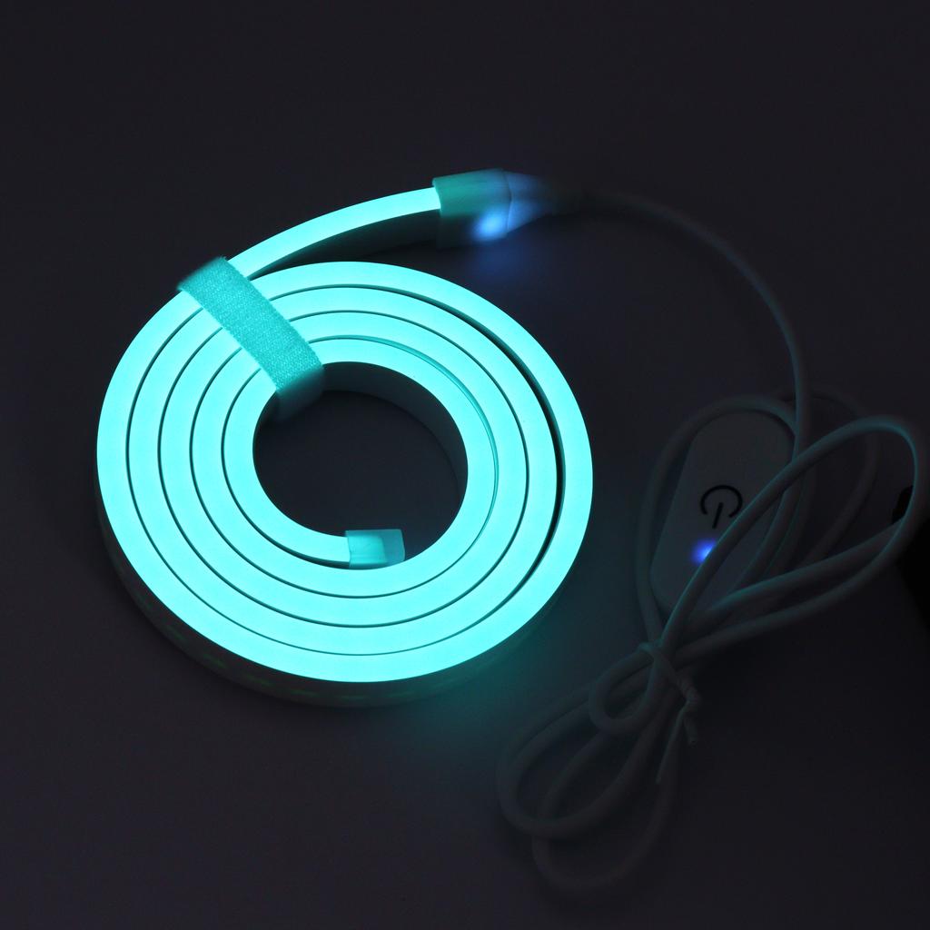 5M Neon Light Strip Touch Control Flexible Neon  USB Silicone Soft Light Waterproof Light Bar for Outdoor Holiday Party Lighting