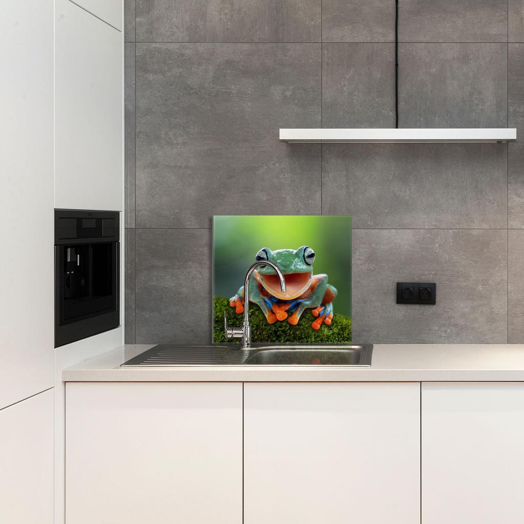 PANEL SZKLANY DO KUCHNI 65x60 Żaba