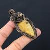 Fossil Coral Gemstone Pure Copper Wire Wrapped Handmade Pendant Jewelry For Gift