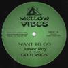 Пластинка 12 дюймов JUNIOR ROY / TENNA STAR - Want To Go; Версия Go / Flames Aro MV2412 Mellow Vibes 2020 UK Регги, Ска и Даб