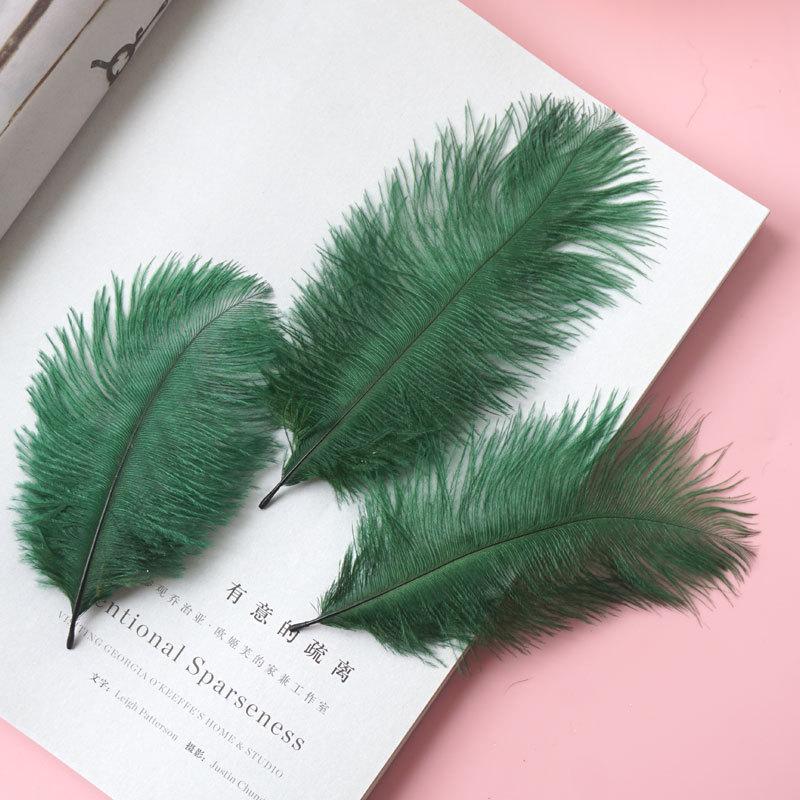 Цветные страусиные перья 15-20 см Свадебное украшение Настенное украшение Перья Настенный ручной букет Материал для ловца снов своими руками