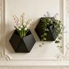 Wall-Mounted Hexagonal Flower Pot Geometric Growing Pots Wall Hanging Planter  Indoor Plants