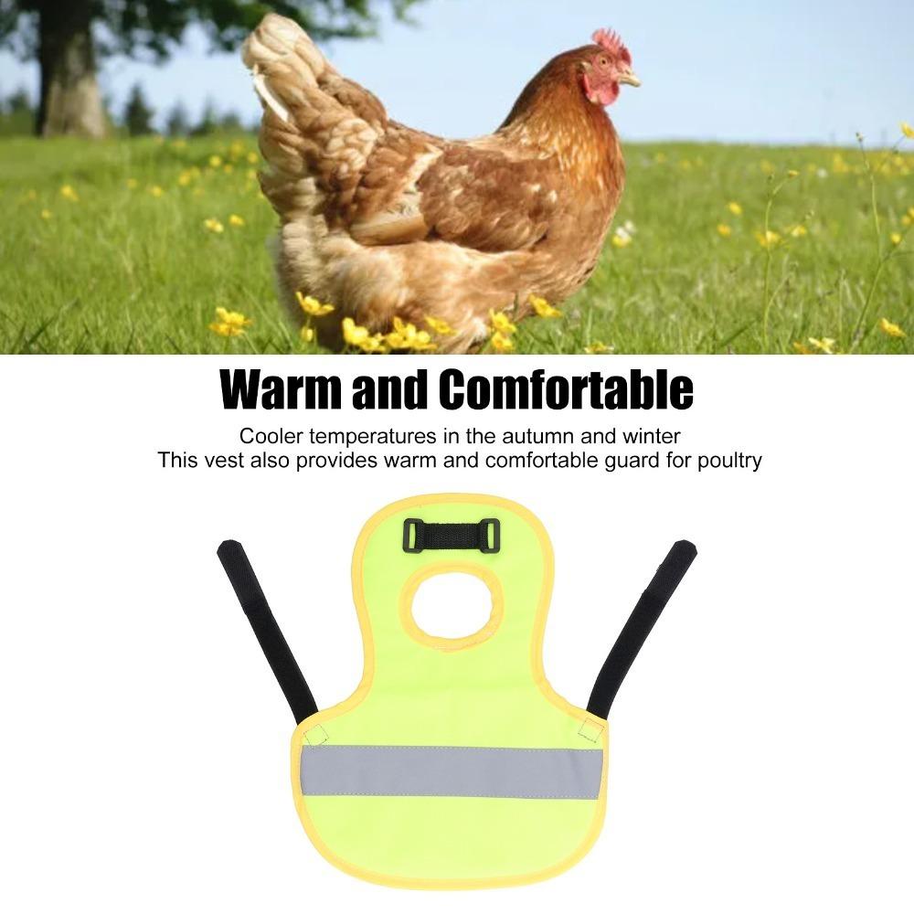 Easy Clean Poultry Harness Vest Nylon Hen Reflective Vest Warm Chicken Harness Vest Hen