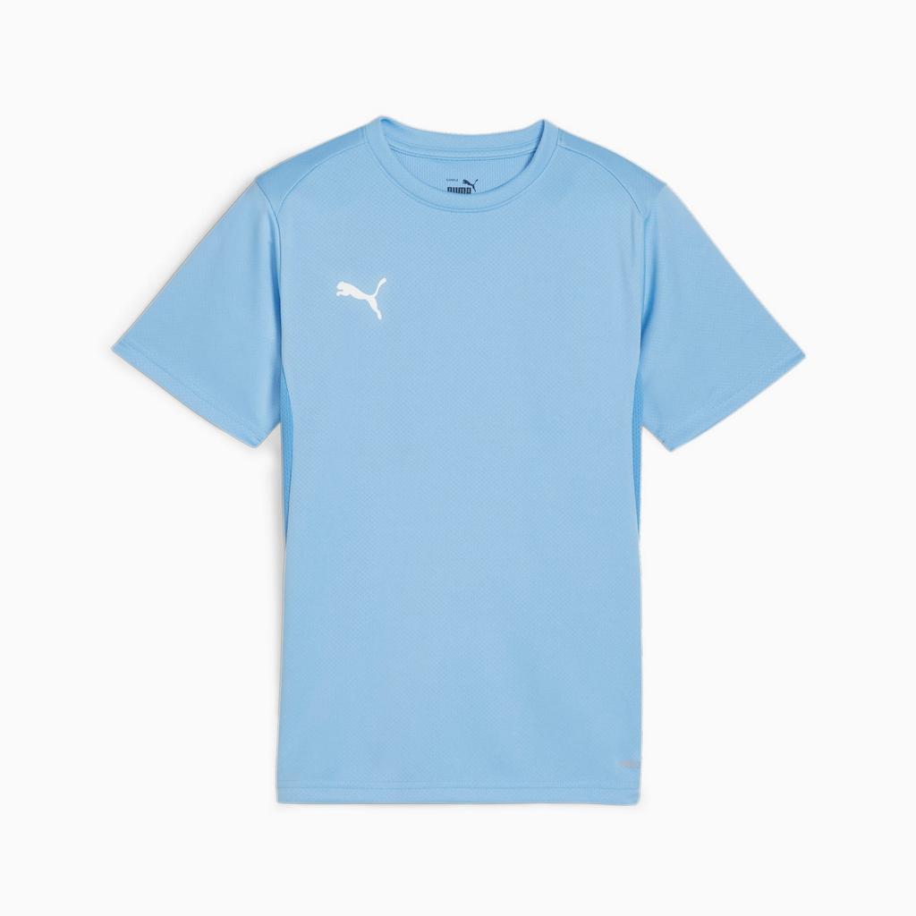 Puma Teamgoal Jersey Jr Kids' T-shirt Blue 65863718 R 176