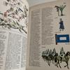 [USED] ILLUSTRATED Colour Dictionary