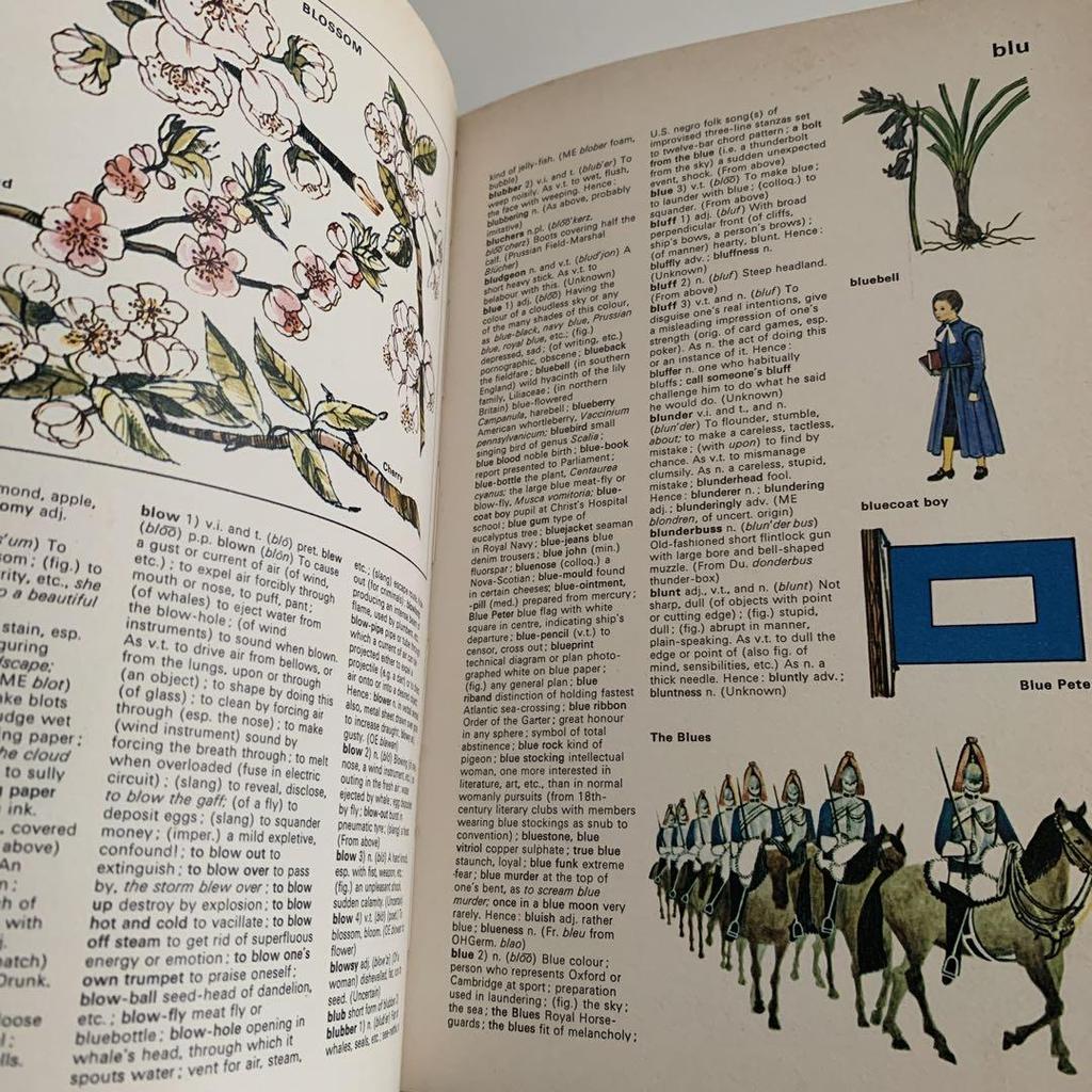 [USED] ILLUSTRATED Colour Dictionary