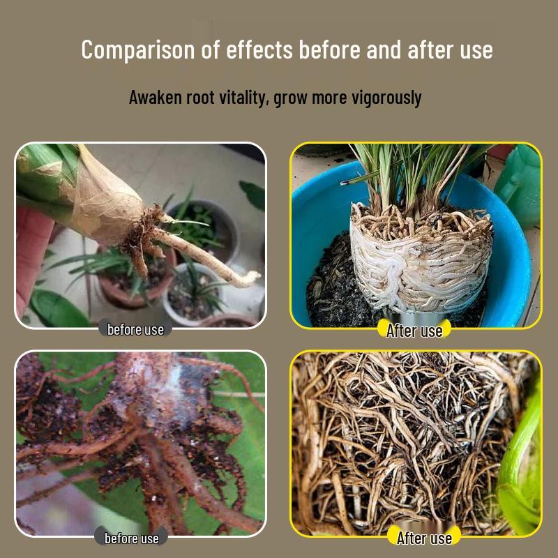 Zhiya Root Cure 500g: Prevents Root Rot, Fusarium Wilt, and Supports Weak Roots & Growth.