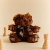 Teddy Bear Keyring Charm Dcho5e001w2