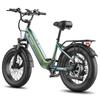 Electric Bicycle Fafrees F20 Rover 250W Motor Top Speed 25km/h 20"Fat Tire City Electric Bike 48V 20AH LCD Display 7 Speed Max Load 150Kg
