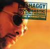 CD SHAGGY Boombastic Lp Ремикс-версии V25H38496 Virgin 1995 США Регги Ска Даб Б/у