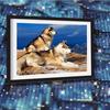 5D DIY Diamond Painting Embroidery Wolf Cross Stitch Full Round Diamond Mosaic Home Decor