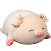 Nature Times Sleeping Pig Doll with Narrow Eyes, Mixed Colors, 50cm, Popular Toys for Korean Children