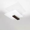Lappo wenge ceiling