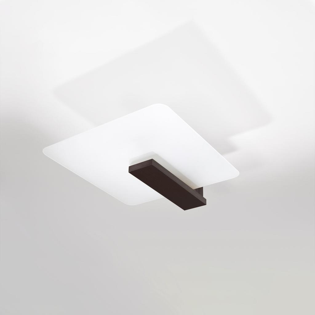 Lappo wenge ceiling