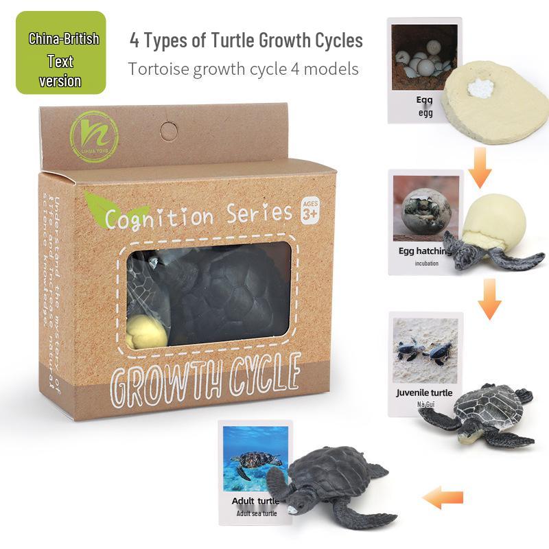 Montessori Animal & Plant Growth Cycle Teaching Toys for Kids