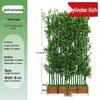 Artificial Bamboo Decorative Partition & Landscaping Set