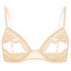Women's Floral Lace Bra Push Up Underwired Bralette Underwear