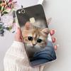 Чехол для Huawei P10 Lite WAS-LX1 WAS-LX2 WAS-LX3 Милый Кот Карп Расписной Чехол Мягкий Силиконовый Чехол Для Huawei P10 Lite P10Lite Корпус