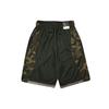 Nike Сращенные спортивные баскетбольные шорты мужские черные CD7098-010