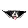 Border Collie 3D Vinyl Car Sticker, Fun Insurance Bumper Sticker for Cars, Trucks, Motorcycles, Walls, Windows, PVC Material