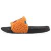 Leadcat 2.0 Унисекс Puma Black Zinnia 384184-01