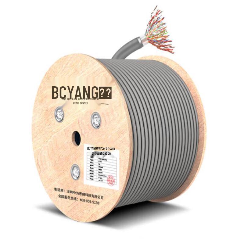 BoYang BY-HYV50 50-Pair Indoor Cat5 Communication Cable