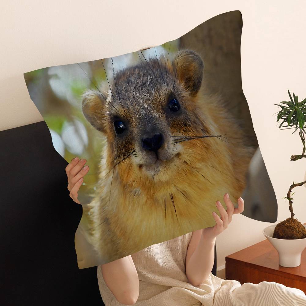 Rock Hyrax Animal Cushion Cover Pillow Cover Decor Pillowcase Printed Cushion Case for Couch