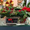 Christmas Kitchen Cabinet Wreaths, Suitable For Decorating The Kitchen Or Doors, Both Indoors And Outdoors For Holiday Decorations