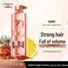 Шампунь L'Oreal с экстрактом имбиря для укрепления
