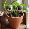 2Pcs Weird-Looking Fun Grumpy Eye Plant Stakes Whimsical Quirky Mini Eye Sculpture Home Desk Decor