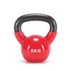 GK Home Fitness Kettlebell