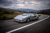 Finclassically 164 Countach 25th Anniversary Edition Серебристый Готовое изделие
