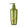 Schwarzkopf Ginger Essence Oil Control Hair Care Set