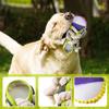 Durable Pet Chew Toy Shoe Design with Rope Laces for Interactive Play and Teeth Cleaning Ideal for Dogs and Puppies