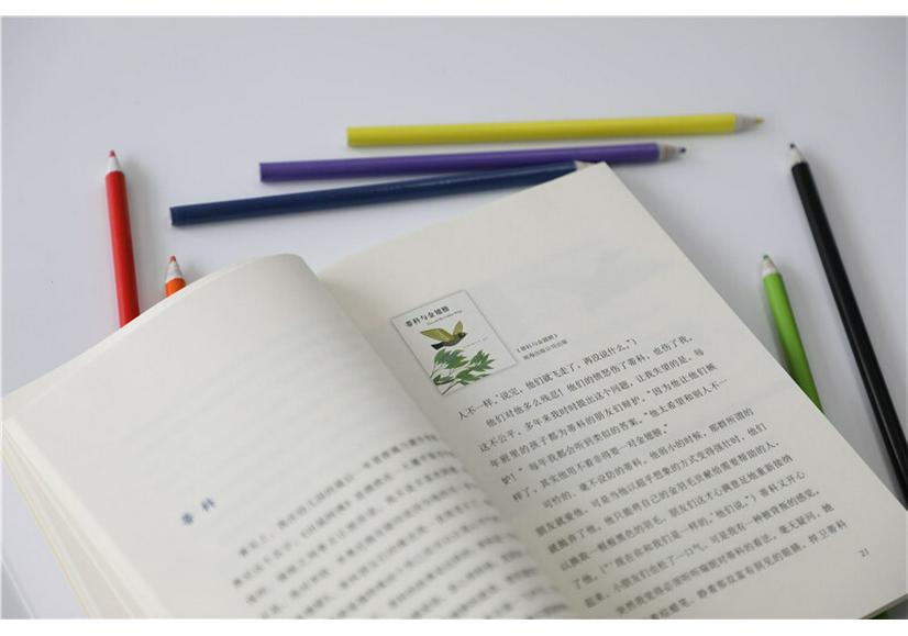 Год совместного чтения книжек с картинками