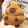 Nap Pillow Capybara Plush Doll Multi-Function Capybara Anime Fluffty Toy Capybara Hand Pillow  Kids