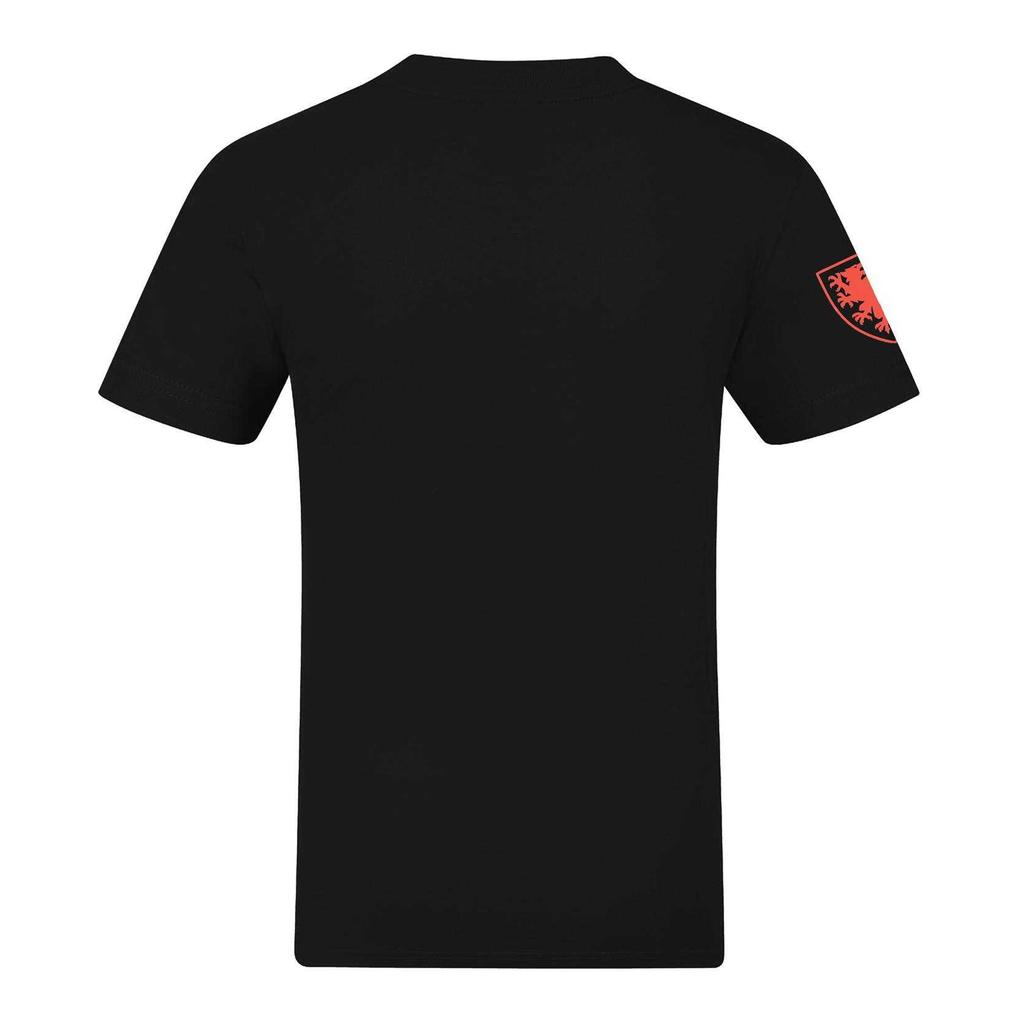 FA Wales Mens Graphic T-Shirt