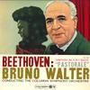 LP Record BRUNO WALTER, COLUMBIA SYMPHONY ORC - Beethoven: Symphony No. 6 In F Majo OL164 COLUMBIA Japan Classical Used