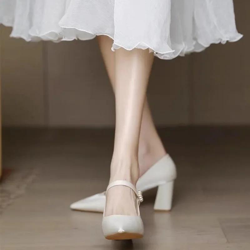 2025 Женская обувь Мэри Джейн Женские туфли на высоком каблуке Модные туфли-лодочки Женские туфли с острым носком и пряжкой на ремешке на толстом каблуке Женские