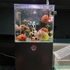Dynamic Skeleton Figurine, Halloween Fishtanks Ornament with Glowing Design, Aquarium Display Decors for Seasonal Scene Landscape