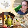 Parrot Spinner Toy Rotating Rattle Transparent Parrot Toy Parakeet Toy Wheel Bird Toys With Multiple Feeding Holes For African