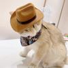 New Cat Hat Cowboy Pet Mini Puppy Hat Western Cowboy Style Small Cat and Dog Pet Party Festival Small Hat