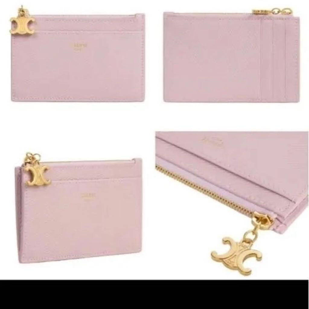 Used CELINE Triomphe Fragment Case