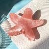 Ocean Starfish Hair Claw Clips Beach Headwear New Girl's Hair Clip  Women